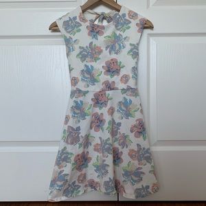 Aritzia skater floral dress S